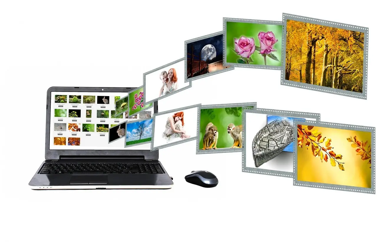 gallery images